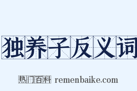 独养子反义词是什么意思的图片
